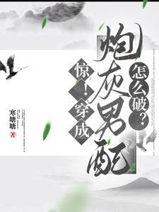 穿书之娶夫郎修仙记晋江