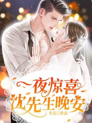 一夜惊喜沈少请自重