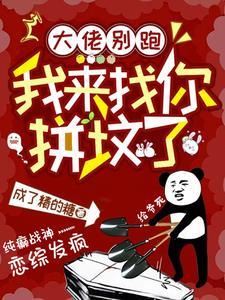 发个癫咋了txt