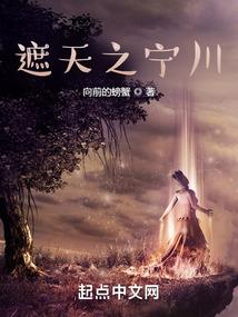 遮天之宁川txt
