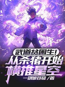 武道贫困生!从杀猪开始横推星空等级