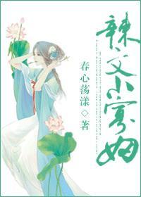 辣文小寡妇h