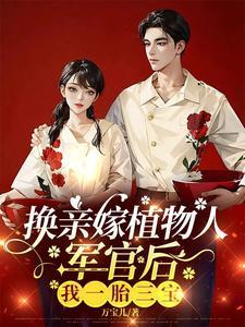 军嫂推荐甜宠文