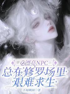 小漂亮npc美貌值爆表作者不知啾困
