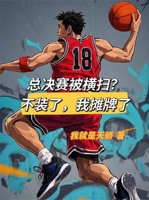 总决赛啥意思