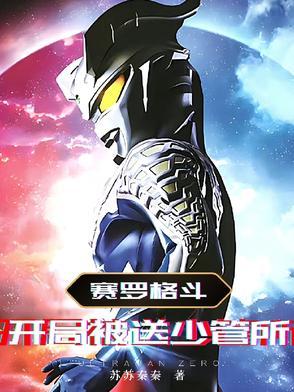 赛罗之格斗