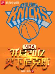 nba开局尼克斯老板