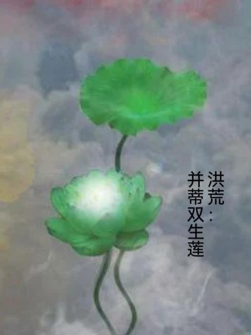 洪荒并蒂双生莲(洪荒并蒂莲)